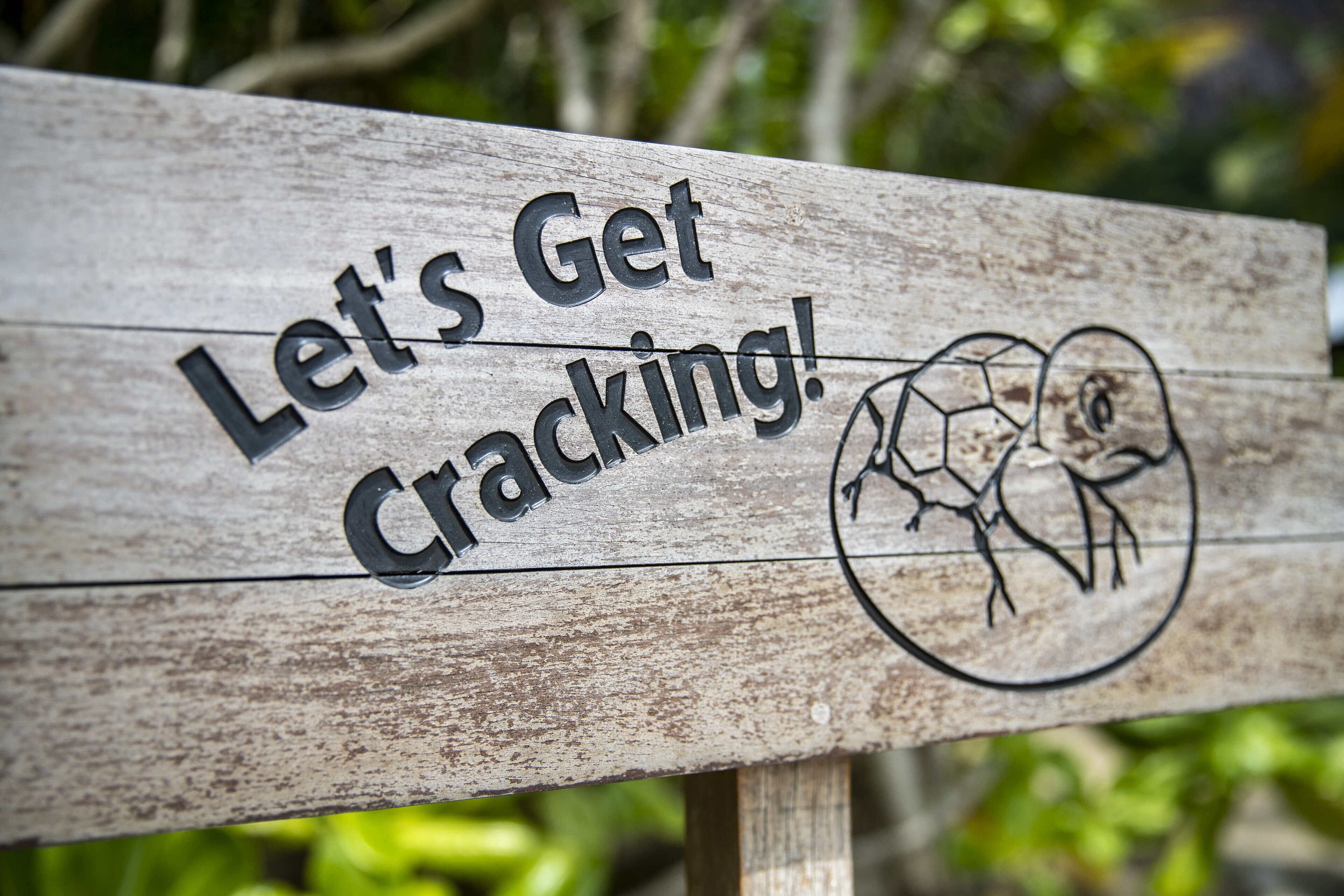 children’s activities