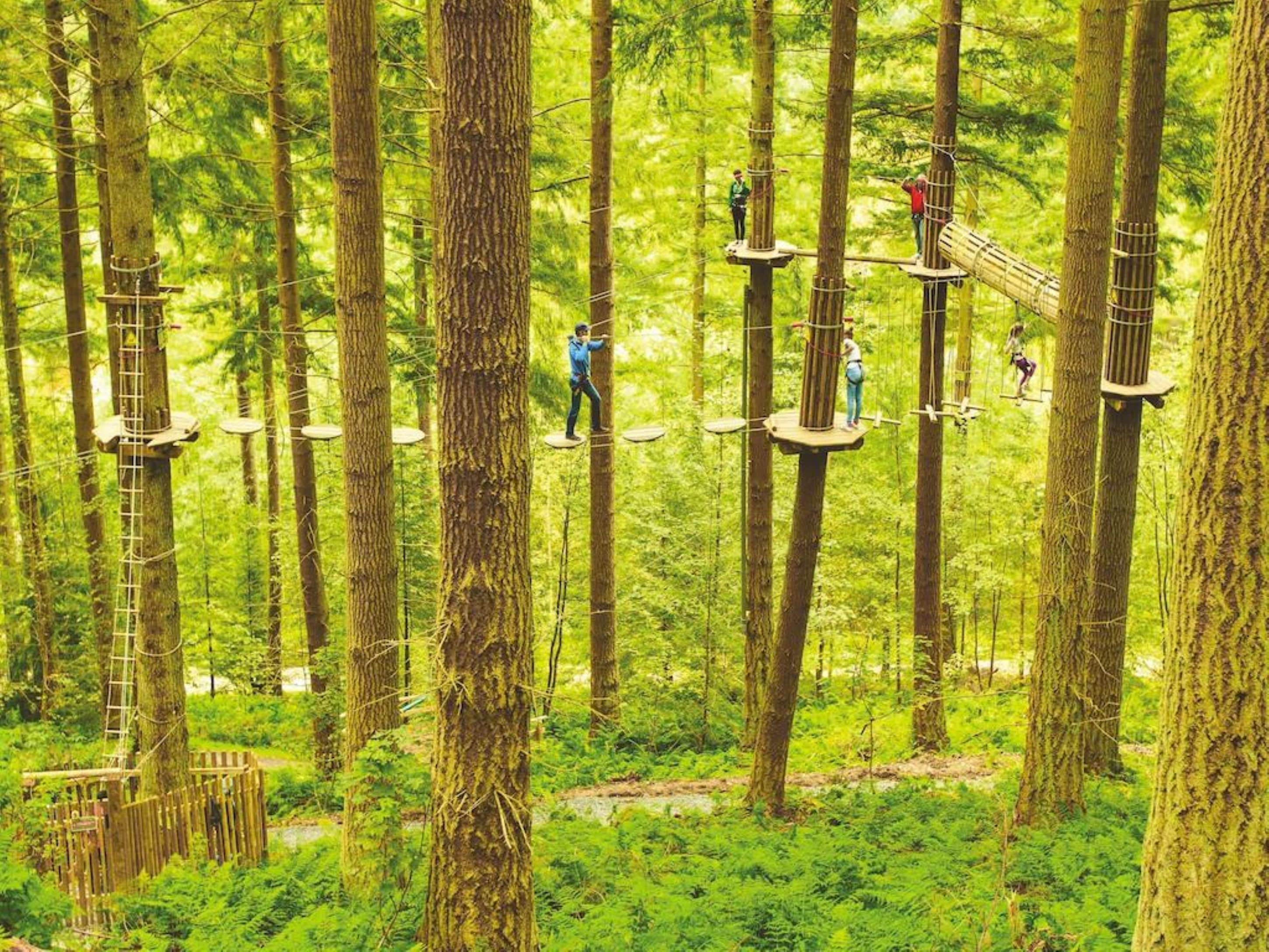 ropes course (team building)