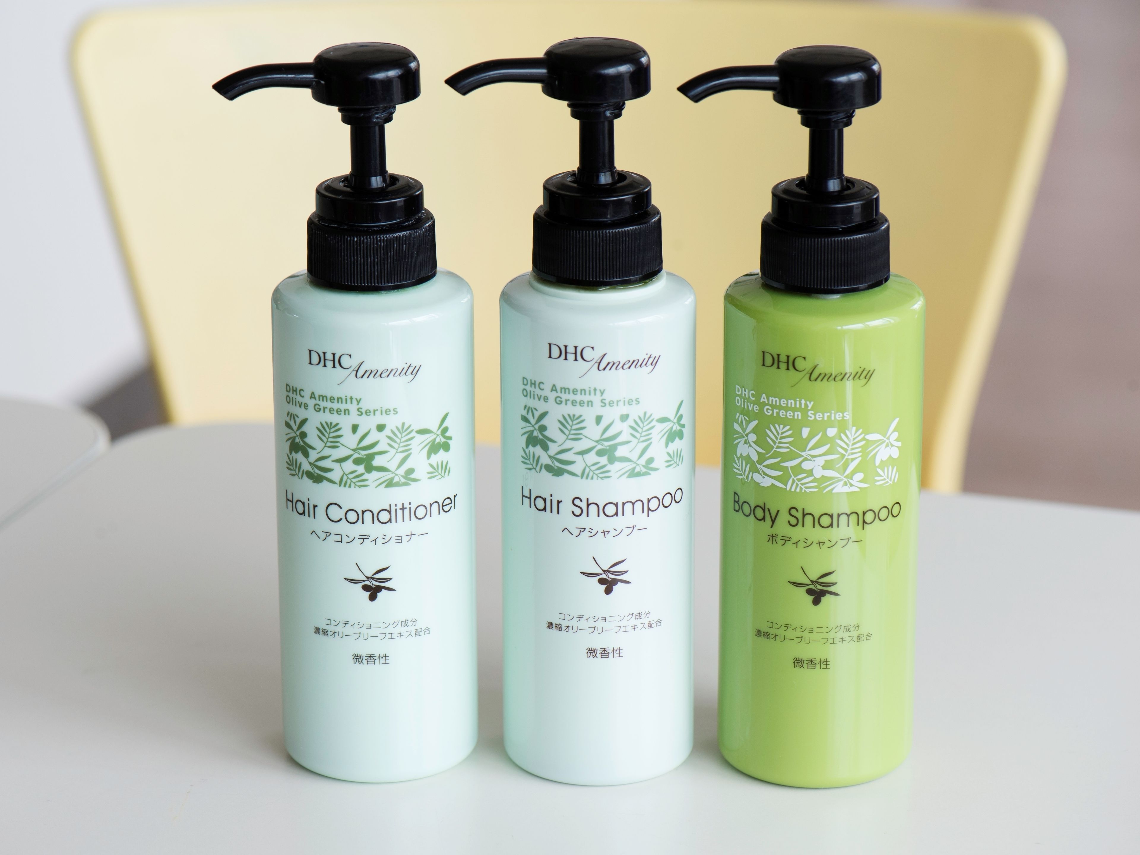 combined shower/bathtub, free toiletries, hair dryer, slippers