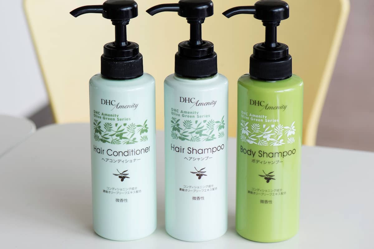 combined shower/bathtub, free toiletries, hair dryer, slippers