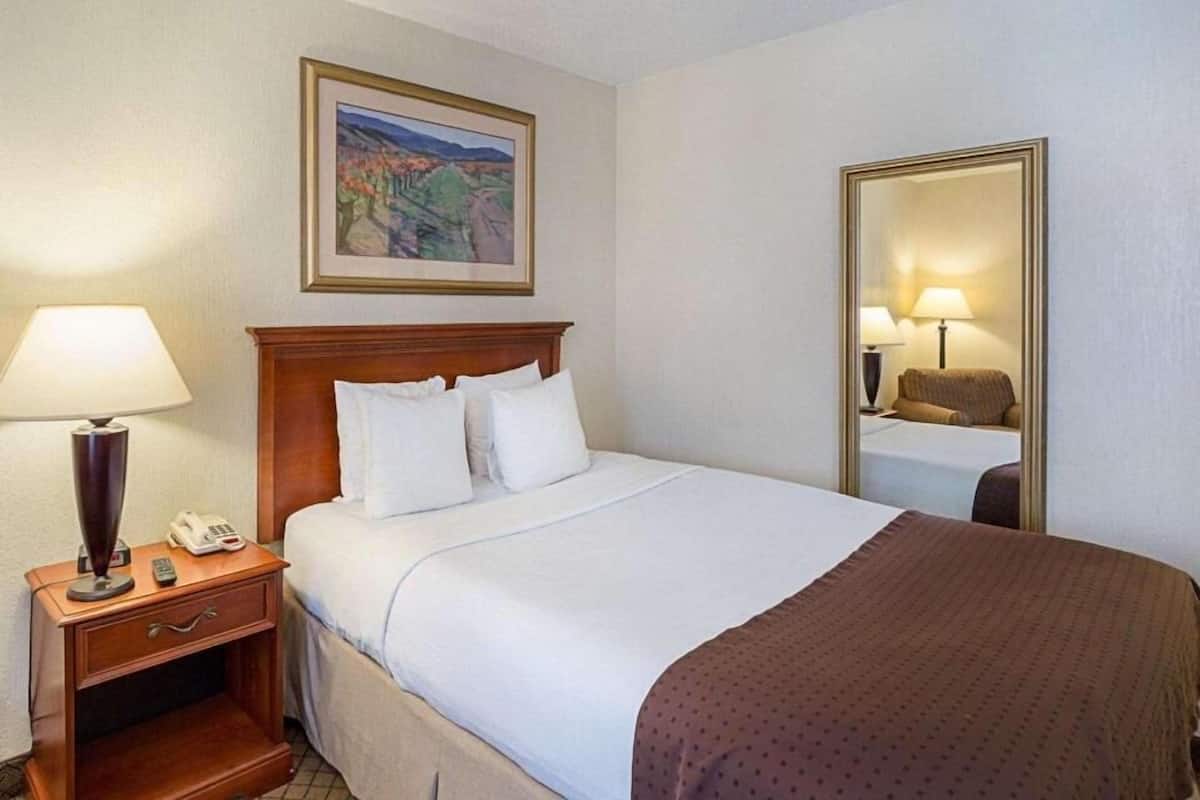 Une chambre d’hôtel avec un lit, une table de chevet avec une lampe, un téléphone et un tableau au mur.