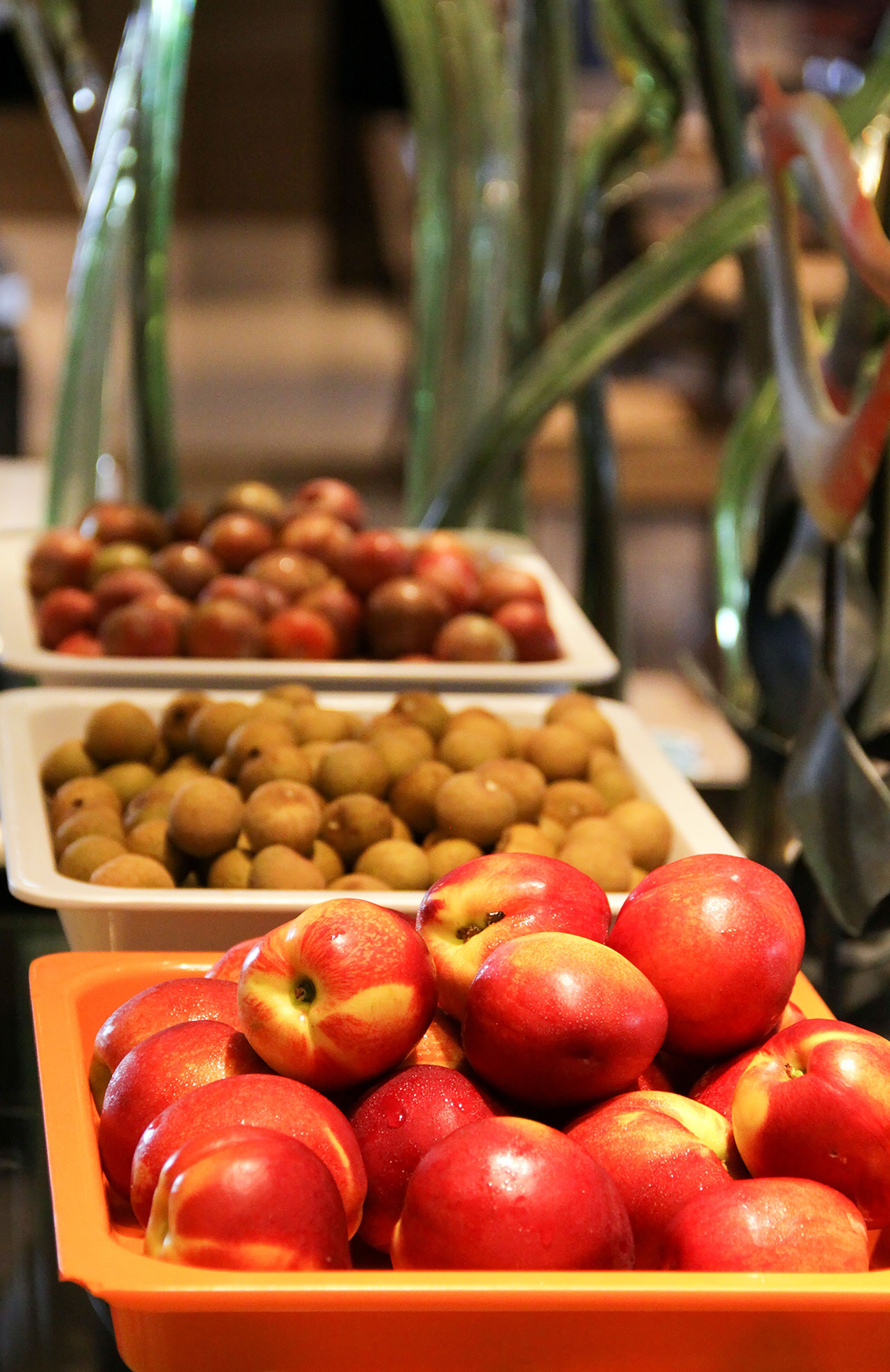 A fruit display with apples and kiwis in trays.