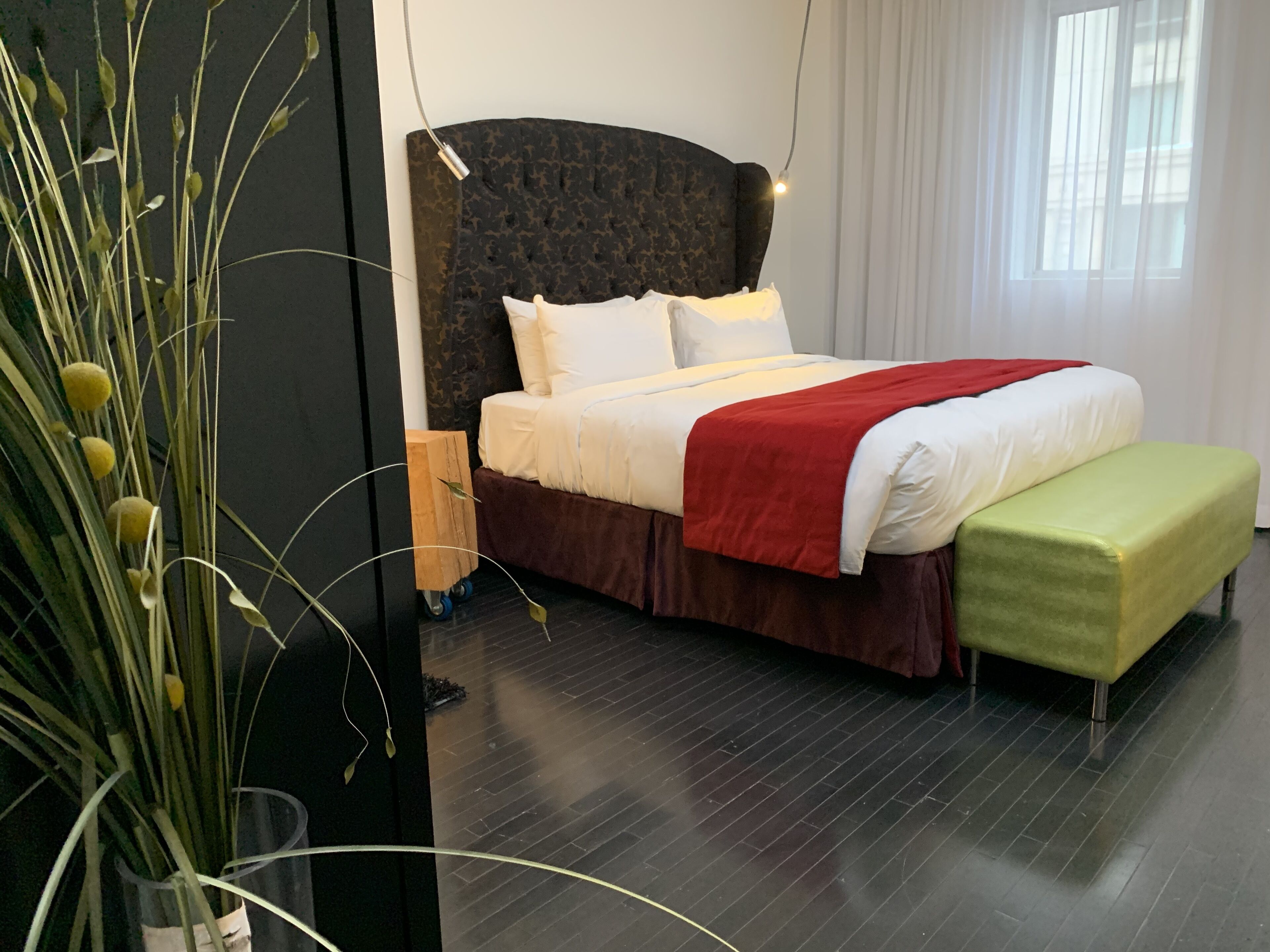 A modern hotel room with a dark wood headboard, a large bed with white and red bedding, a green bench, and a potted plant with tall grass.