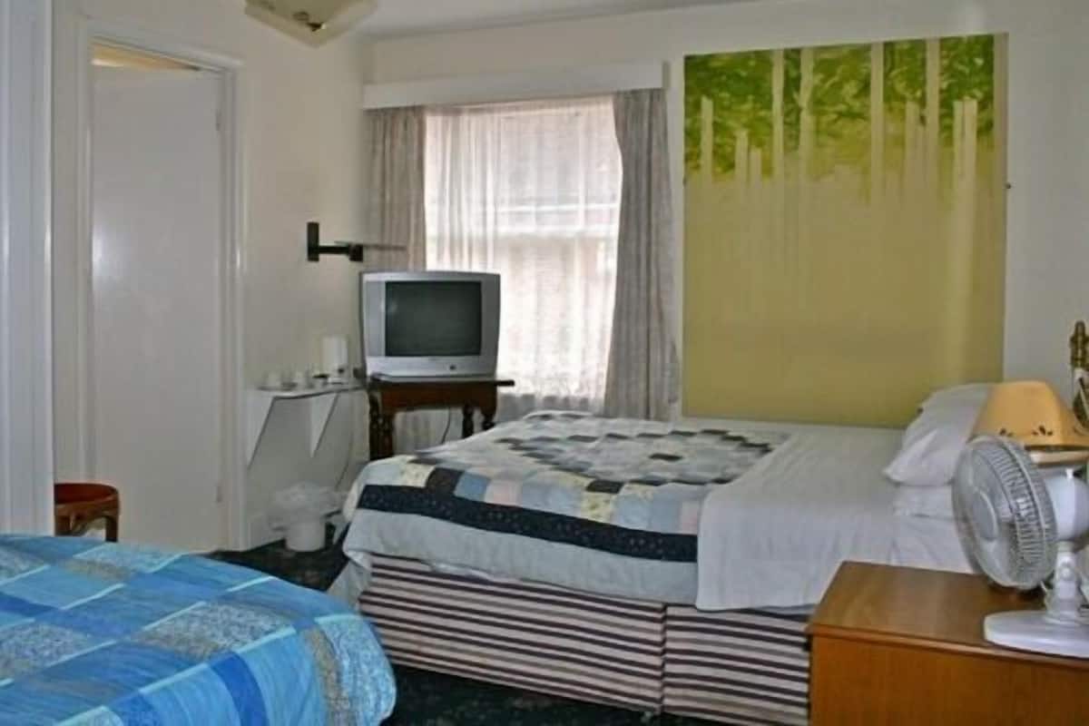 Une chambre d’hôtel avec un lit, une télévision, un ventilateur et un tableau au mur.