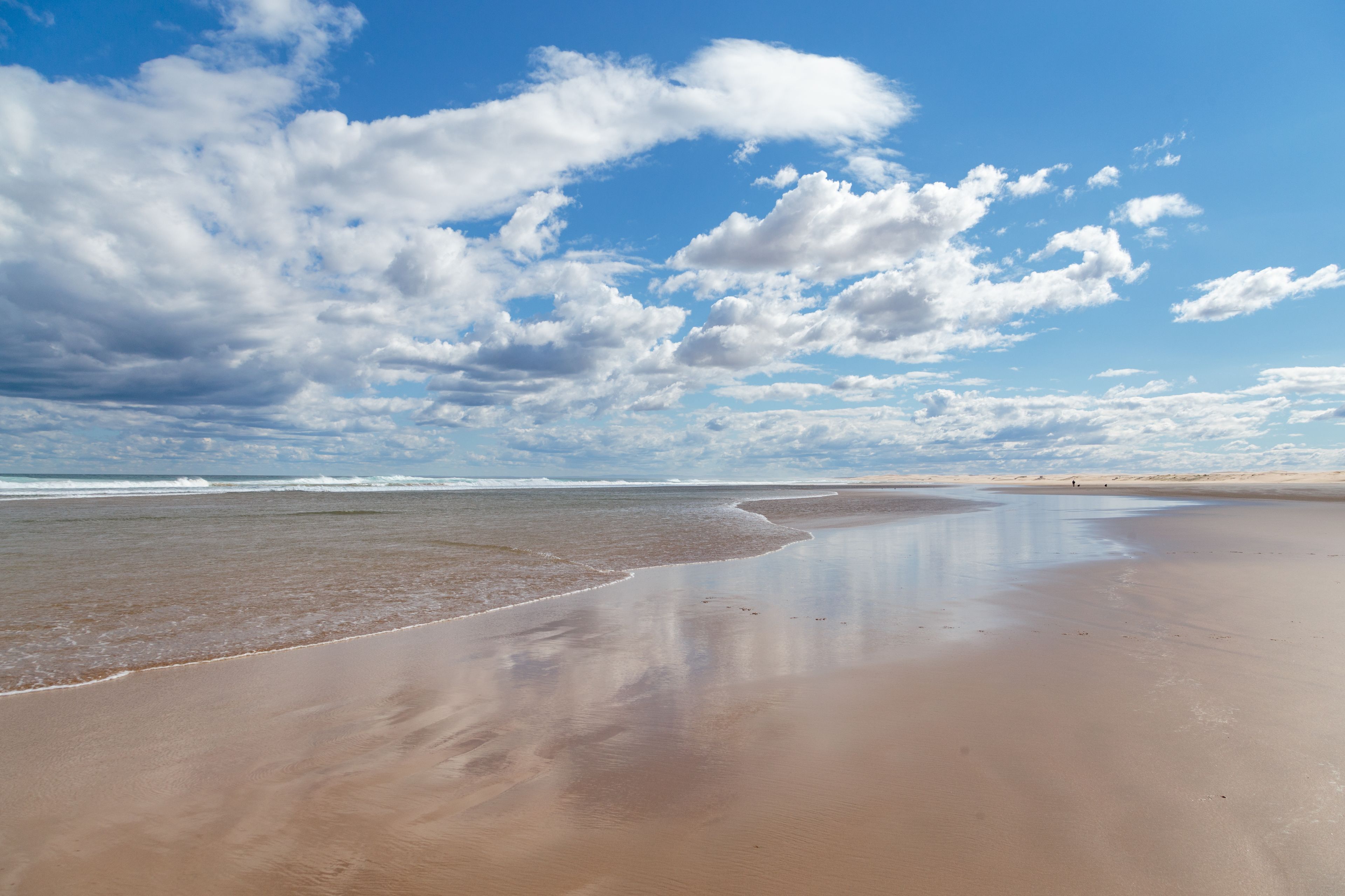 Una playa extensa con cielo despejado y olas suaves.