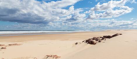 Une plage de sable fin, avec un ciel dégagé et quelques nuages épars.