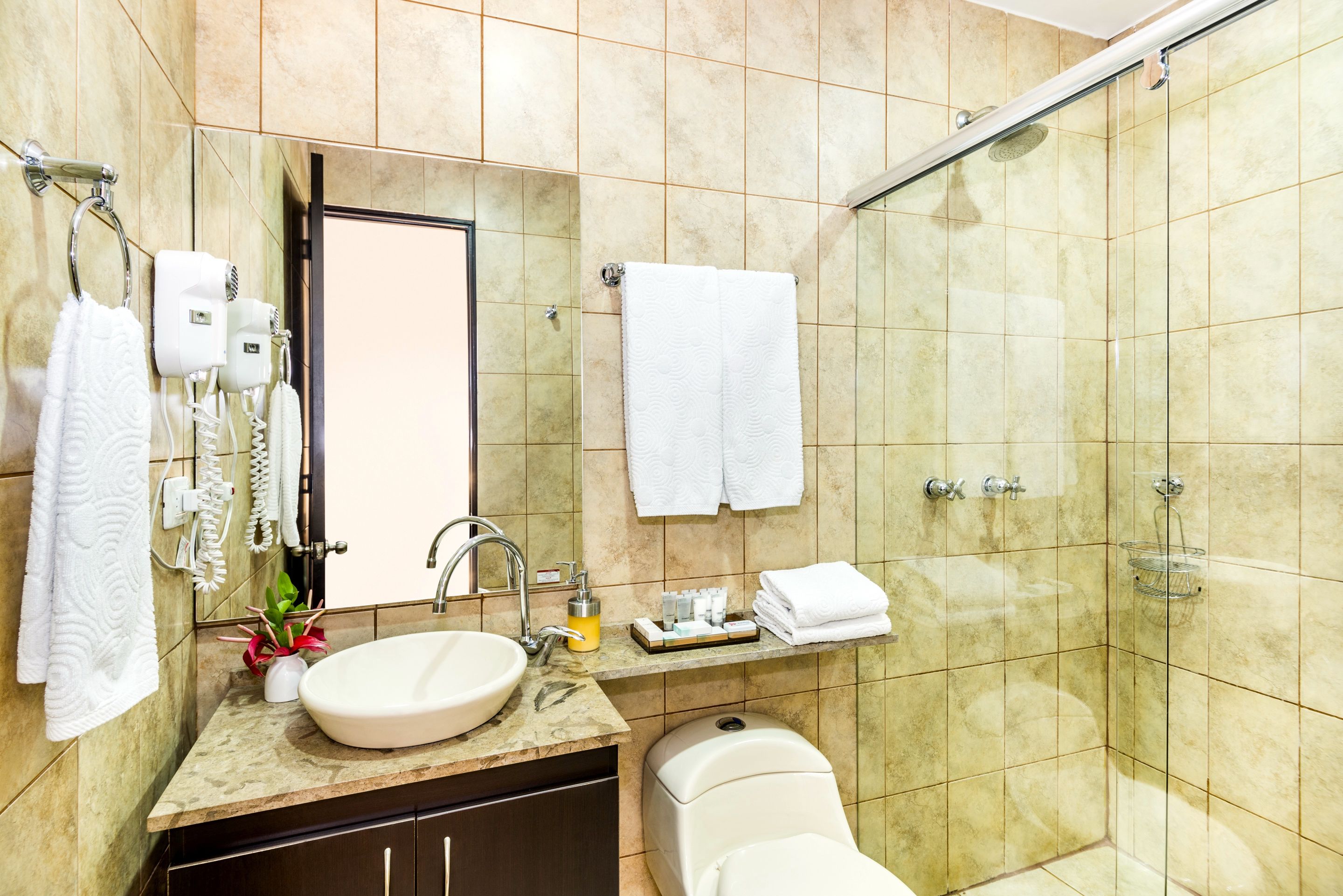 shower, free toiletries, hair dryer, towels