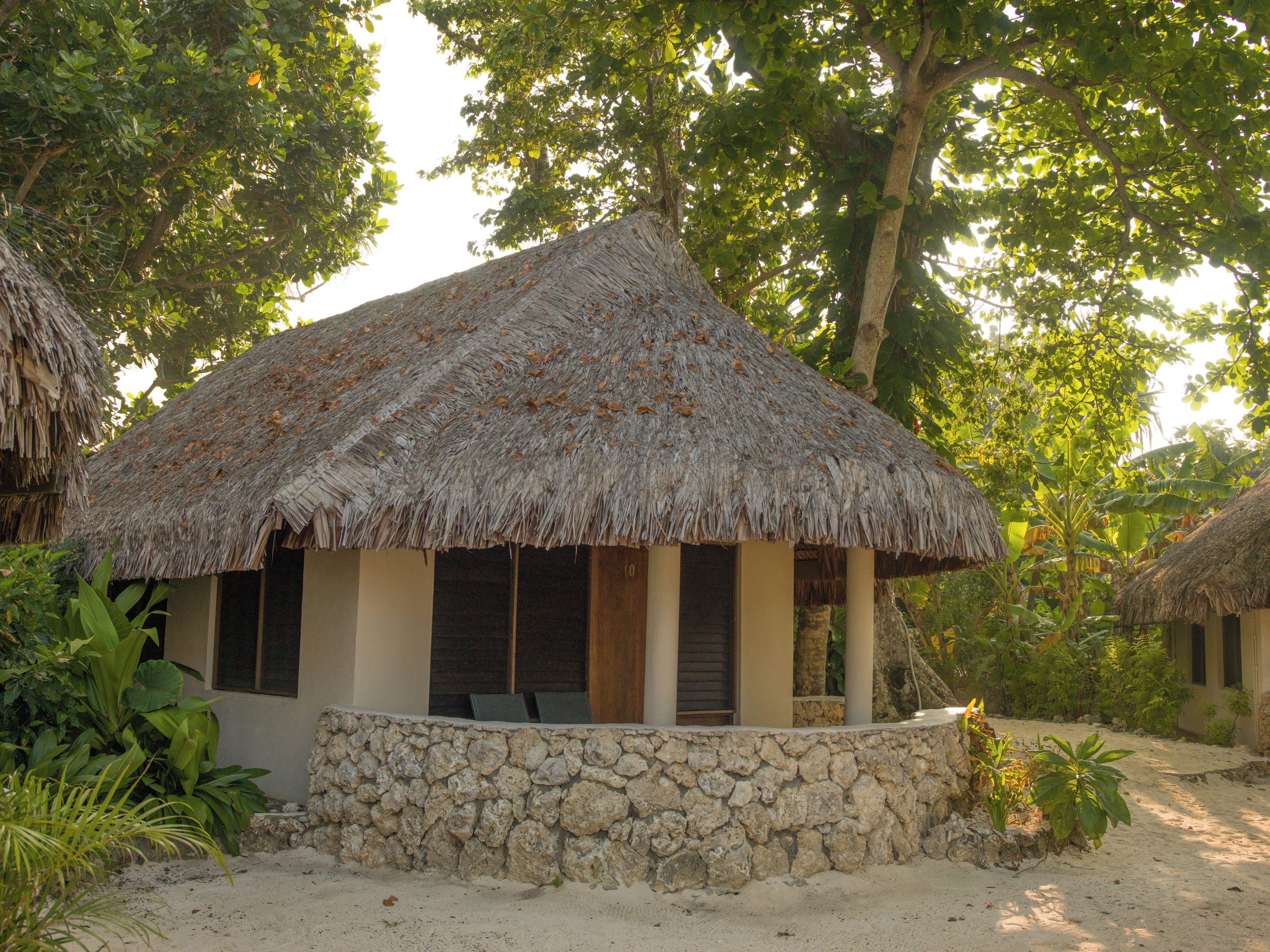 A thatched-roof hut with a stone base, surrounded by tropical vegetation.