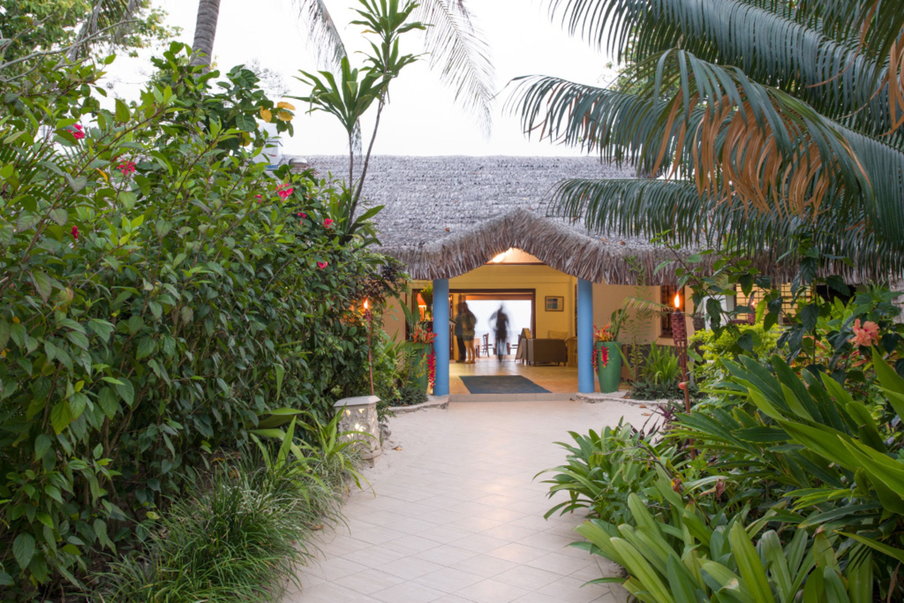A pathway leading to a building with a thatched roof, surrounded by lush greenery and tropical plants.