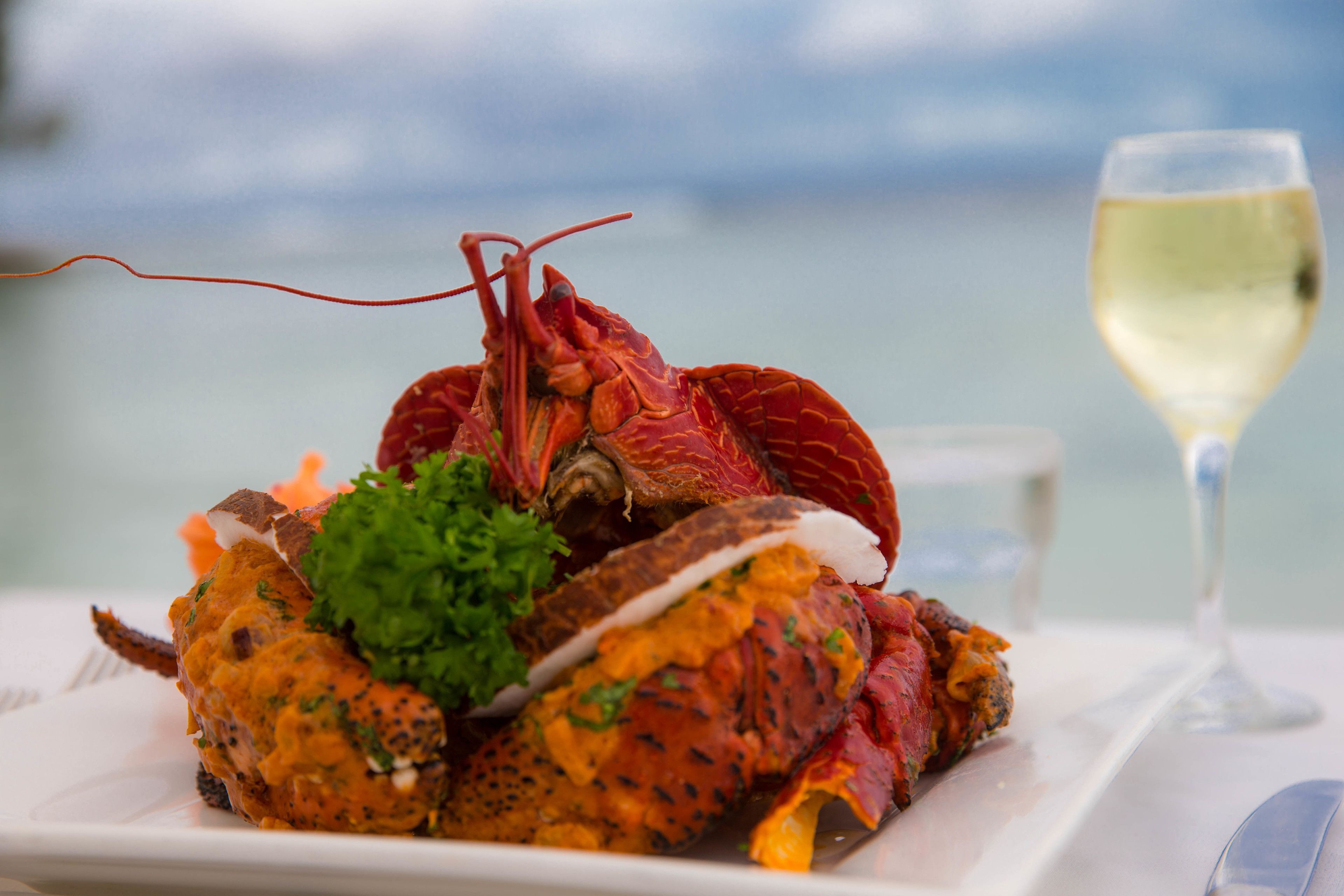 Un plat de homard servi dans une assiette blanche, accompagné d’un verre de vin blanc et d’une fourchette, le tout posé sur une table.