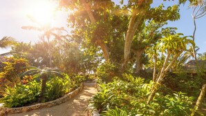 A garden pathway surrounded by lush tropical vegetation and trees. - The Beach (Port Vila)