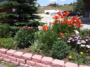 Garden - Dillon Inn (Dillon)