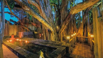 Body treatments, aromatherapy, body wraps, body scrubs, facials