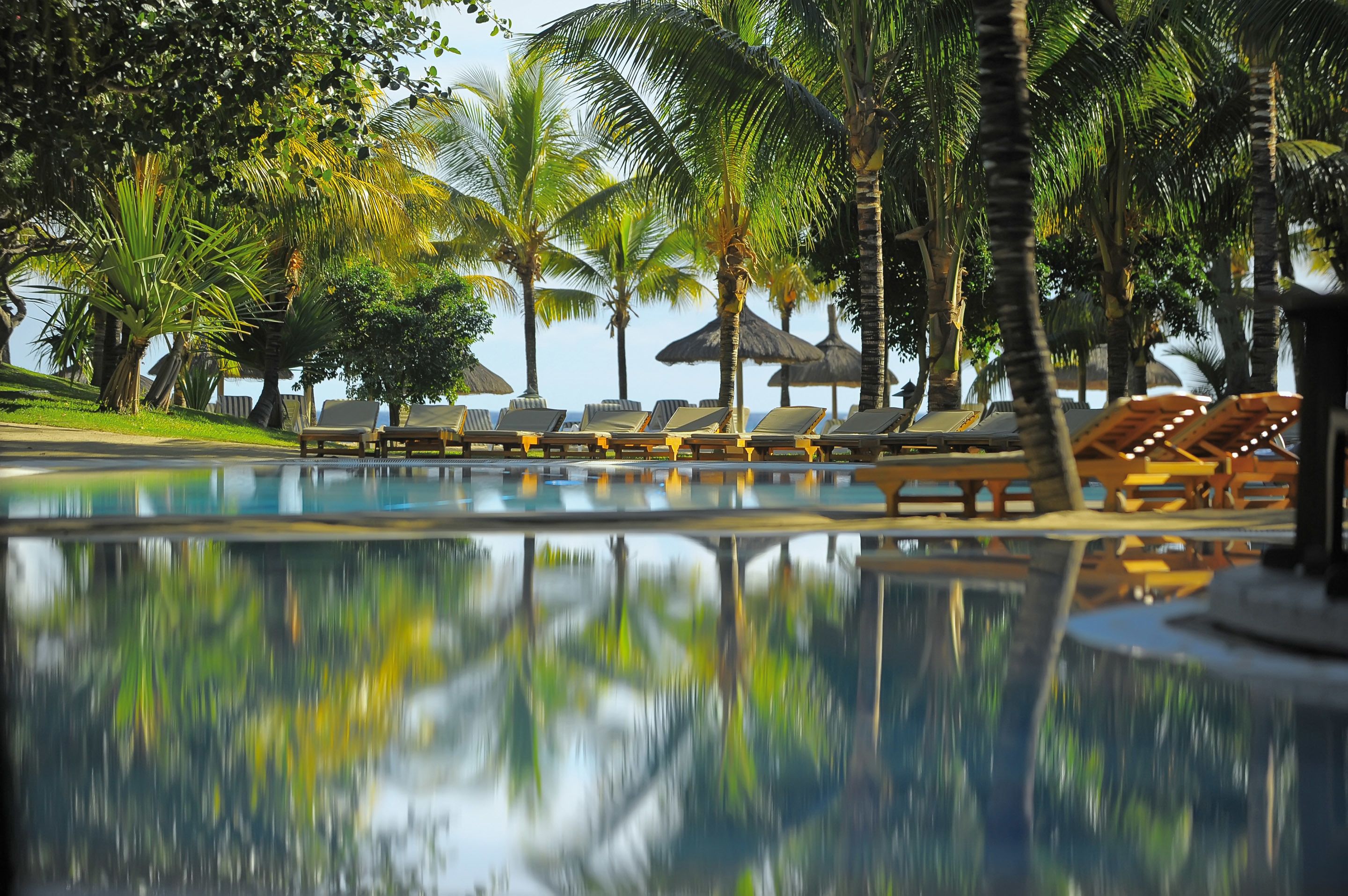 A pool area with lounge chairs and umbrellas, surrounded by palm trees.