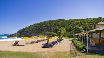 Bar de plage