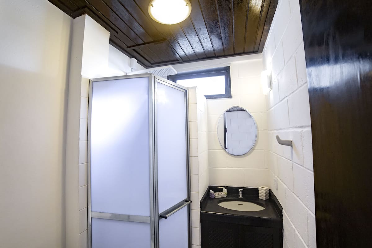 quadruple flat | bathroom | shower, towels