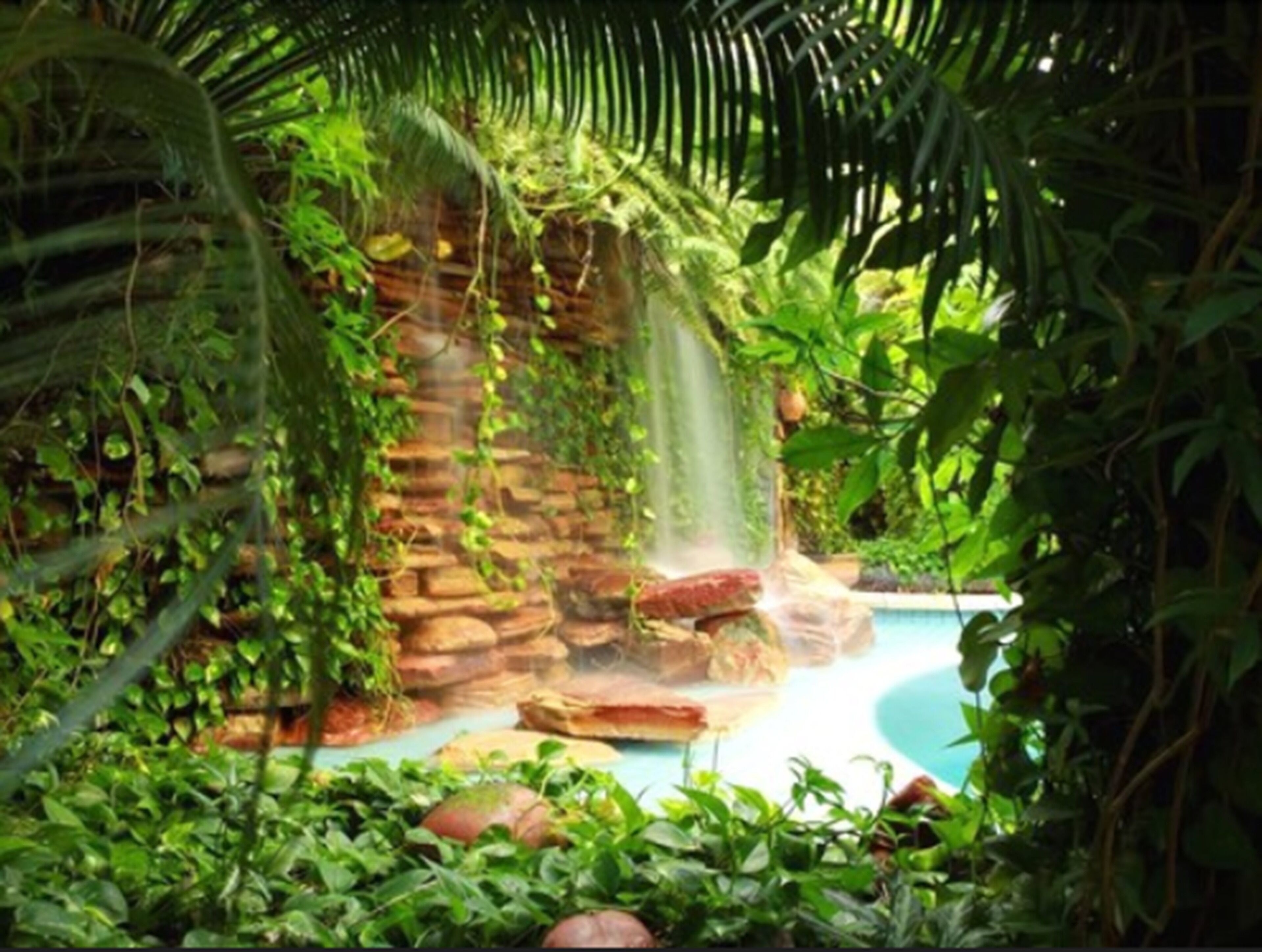 outdoor pool, pool loungers