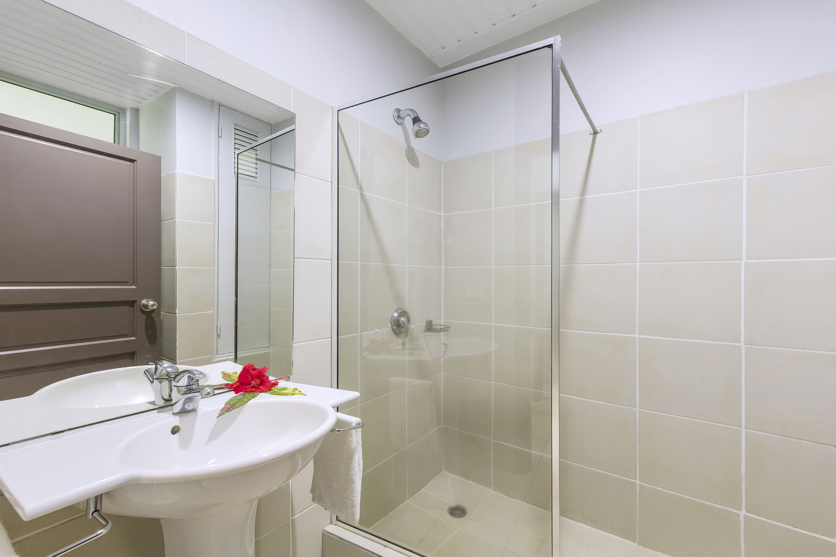 shower, free toiletries, hair dryer, towels