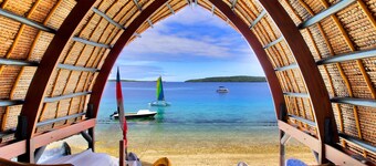 ザ ハバナ バヌアツ - 大人限定