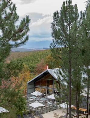 Restaurant - Old Mac Daddy - Campground (Grabouw)