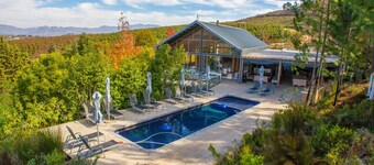 Old Mac Daddy - Campground