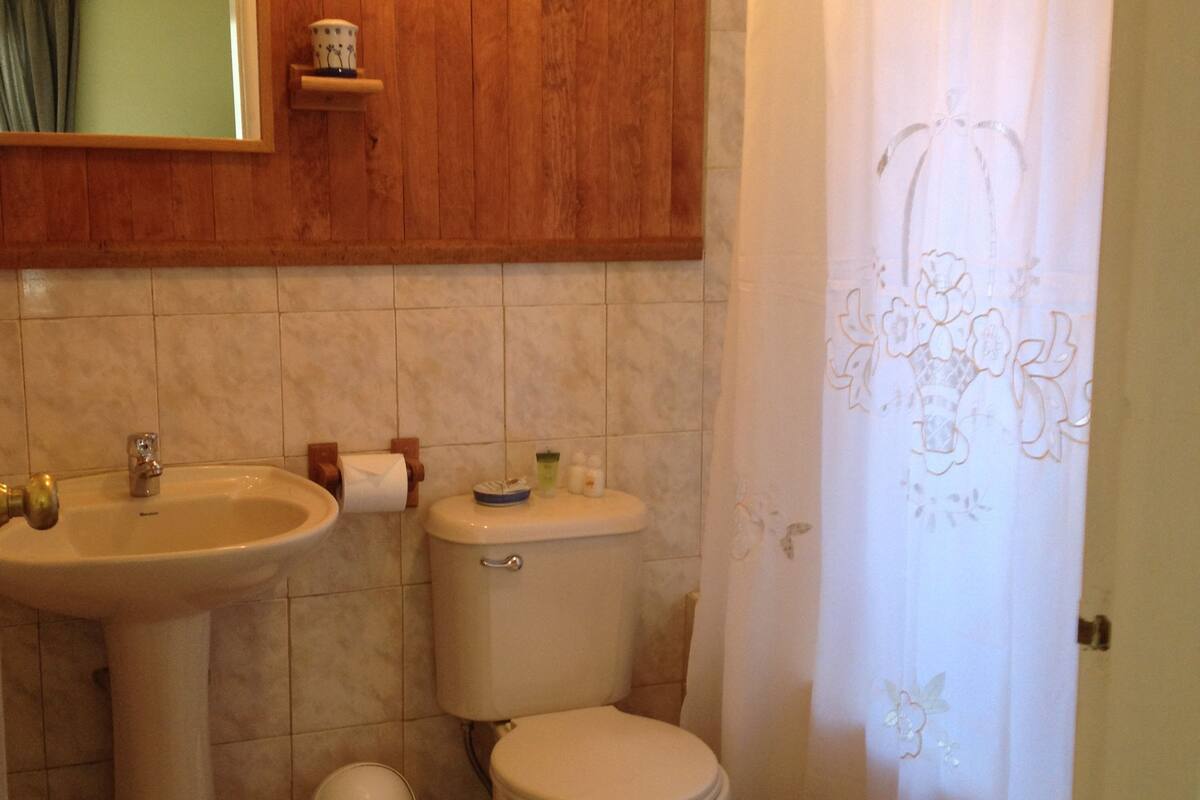 separate bathtub and shower, designer toiletries, hair dryer, towels