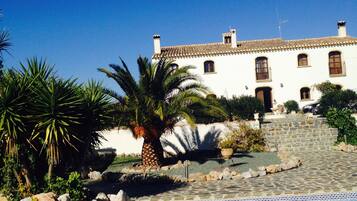 Outdoor pool, pool umbrellas, pool loungers