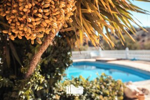 Ein Poolbereich mit einer Palme und einem Schild für das Los Sibleys Activity Hotel.