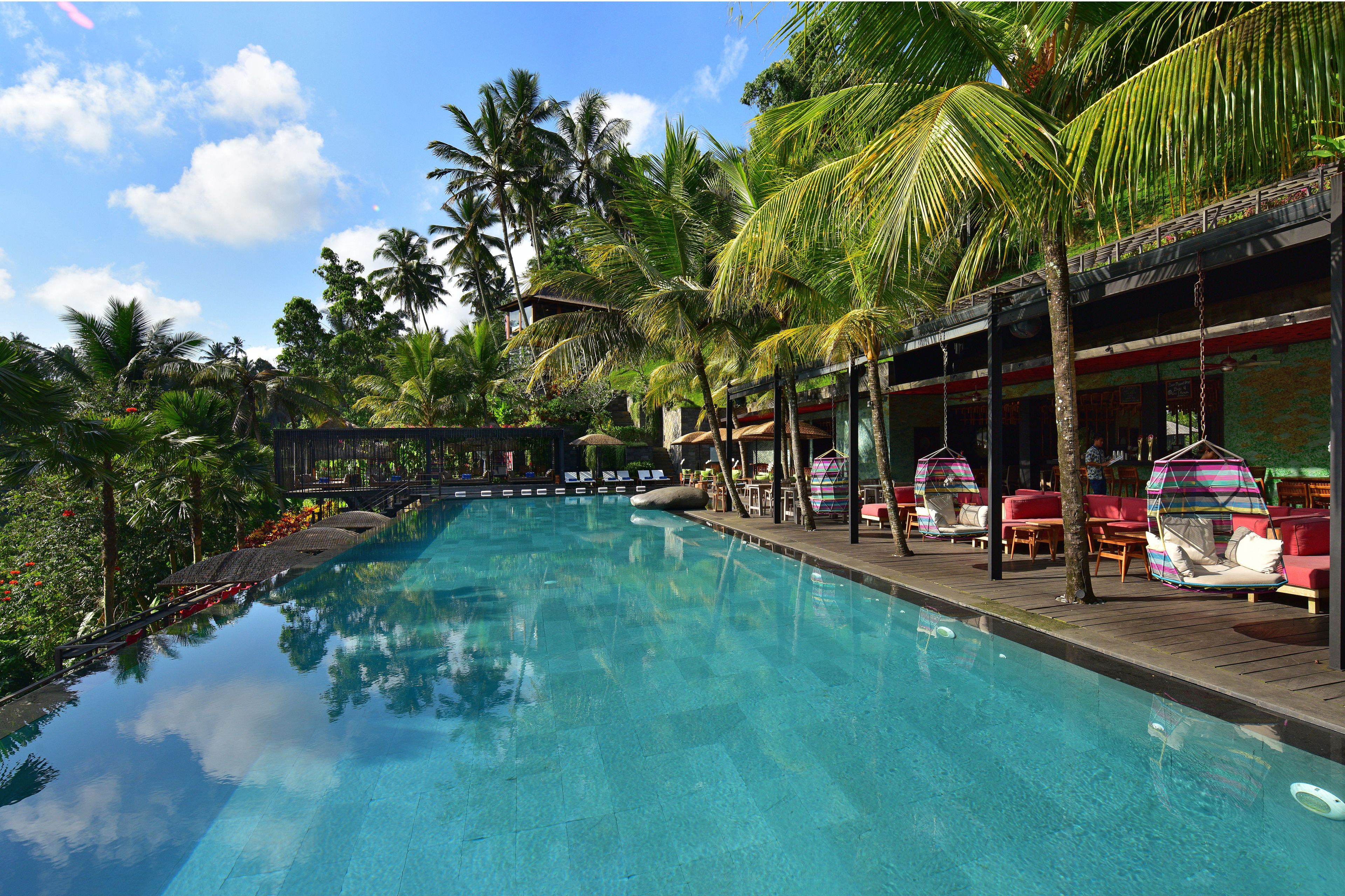 A swimming pool with lounge chairs and palm trees.