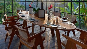 Un comedor con una mesa de madera dispuesta para seis personas, rodeada de sillas de mimbre, grandes ventanales que ofrecen vista a vegetación exuberante y un techo con diseño geométrico.