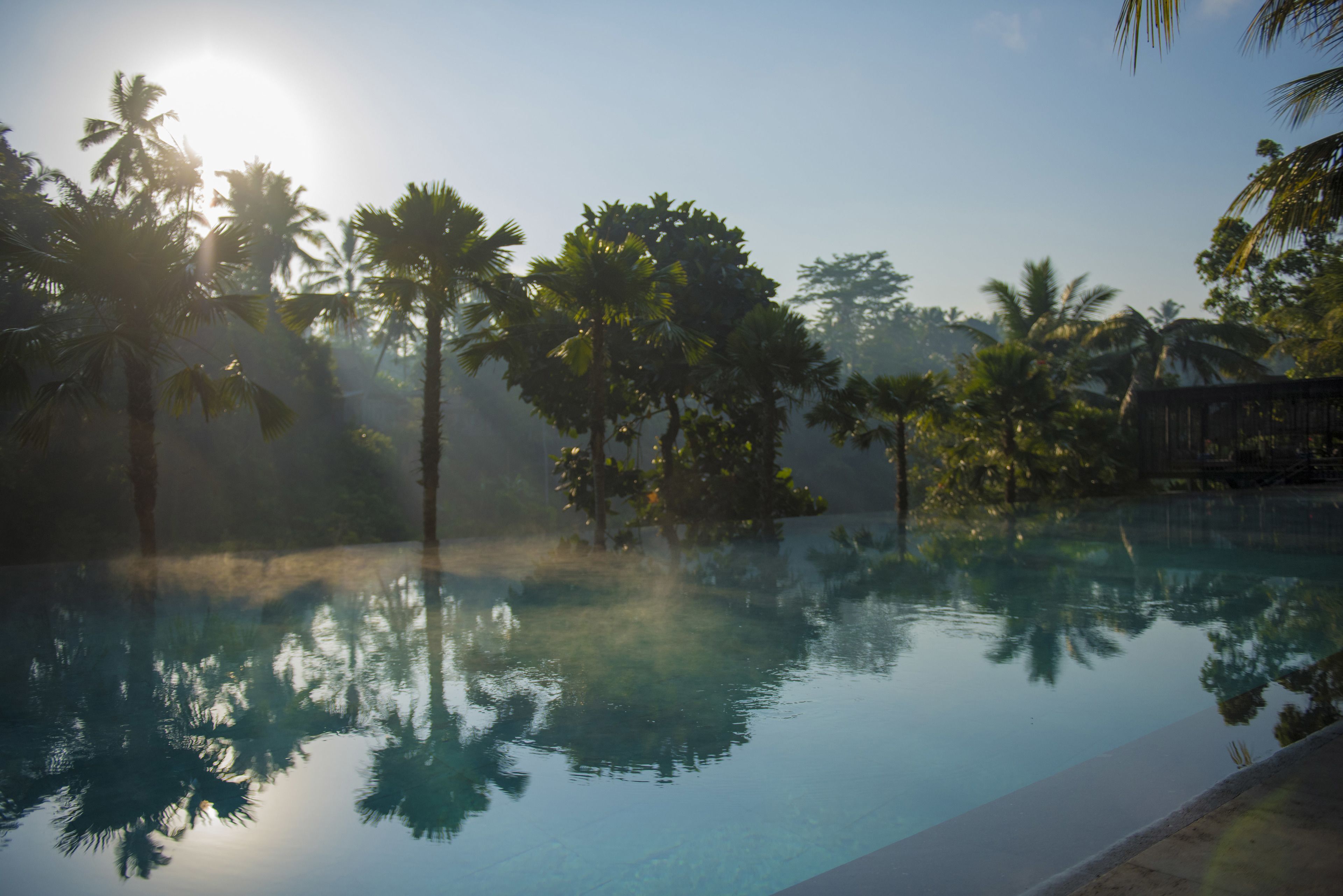 Vista chiara di una piscina circondata da palme e una struttura in legno, probabilmente una cabana o area relax, con il sole che filtra tra gli alberi.