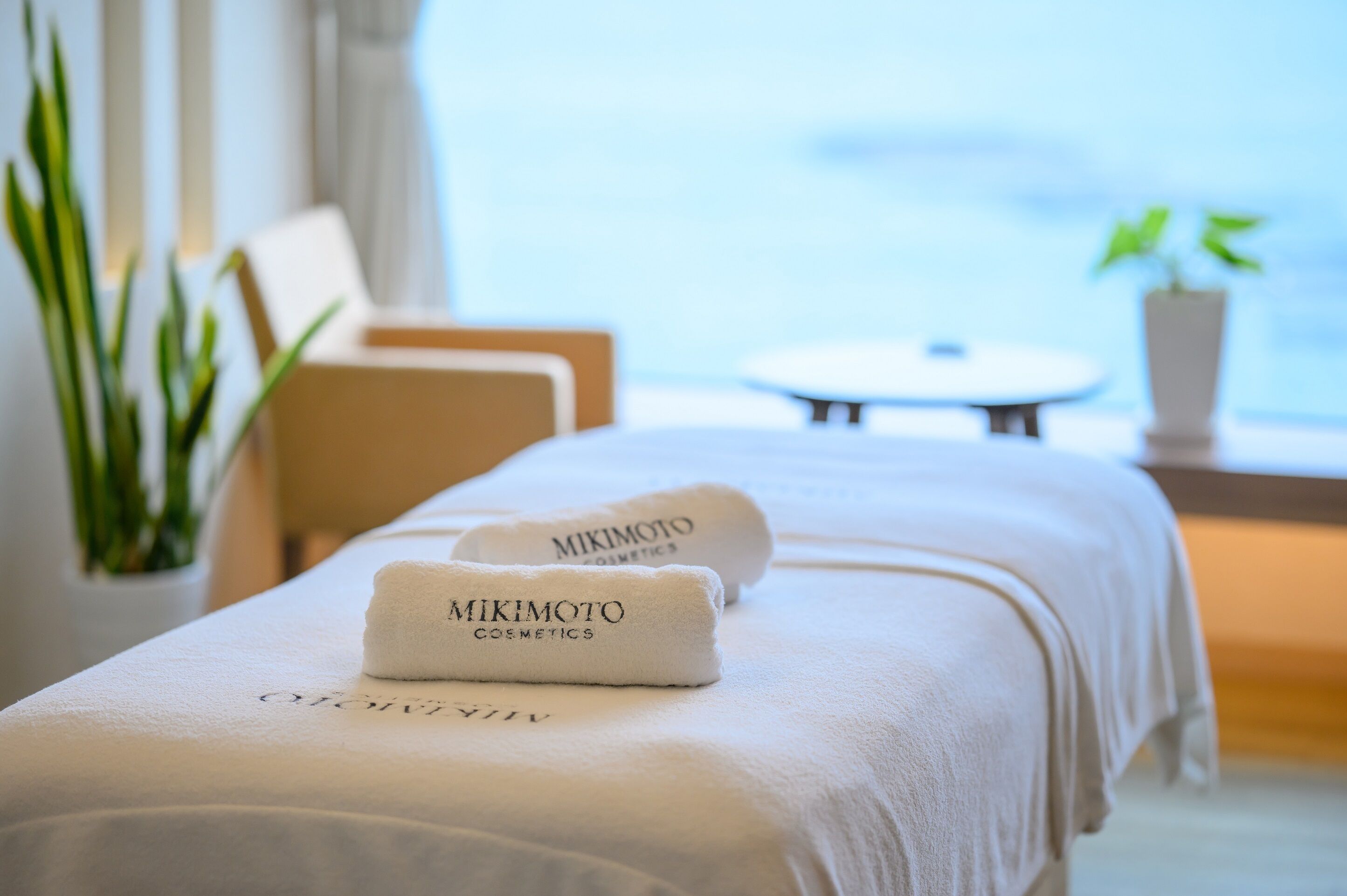 body treatments, hydrotherapy, facials, 2 treatment rooms