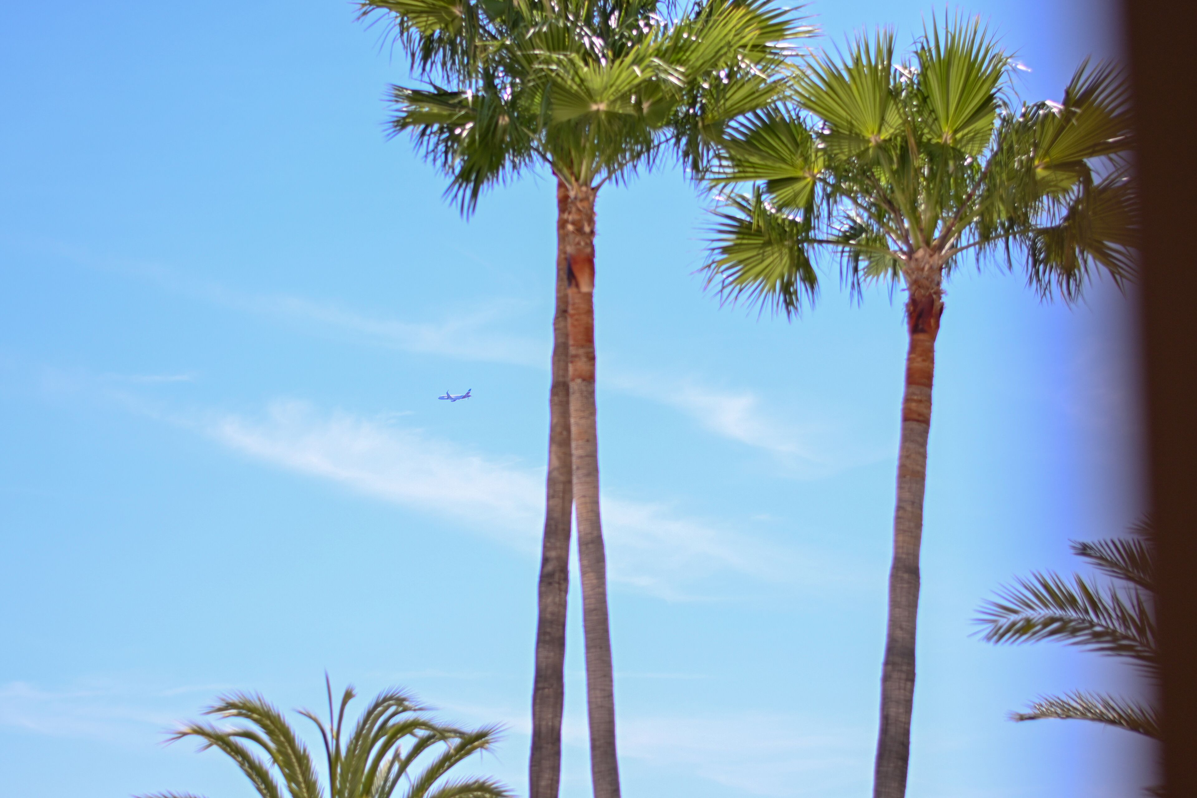 Foto - Hotel Figueretes