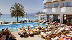 Zona junto a la piscina con tumbonas y una palmera, con vistas a un cuerpo de agua.