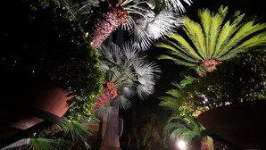 A nighttime garden with a central palm tree, surrounded by various other plants and illuminated by artificial lights. - Residence Oliveto (Ceriale)