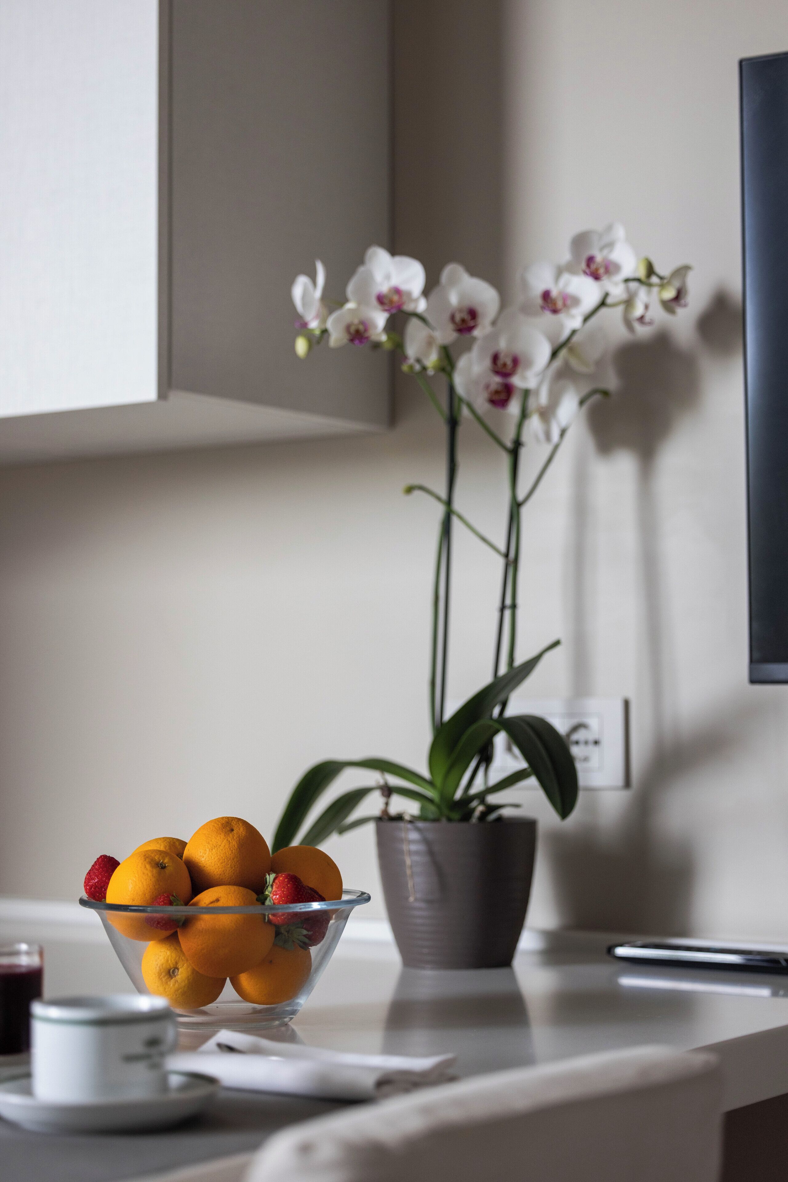 A kitchen counter with a fruit bowl containing oranges and strawberries, a potted plant, and a smartphone.