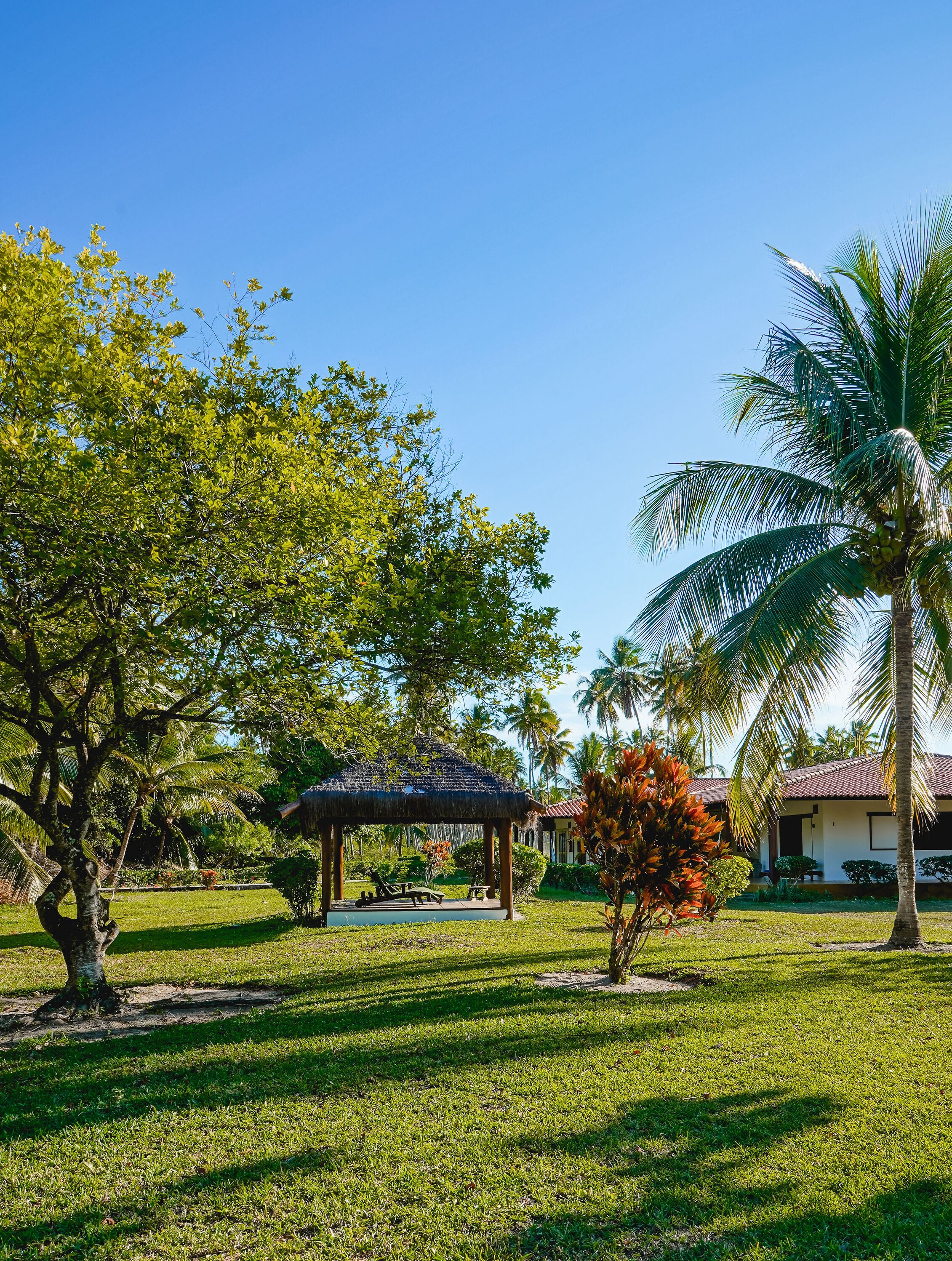 Um jardim tropical com um coreto, palmeiras e um edifício com telhado vermelho.