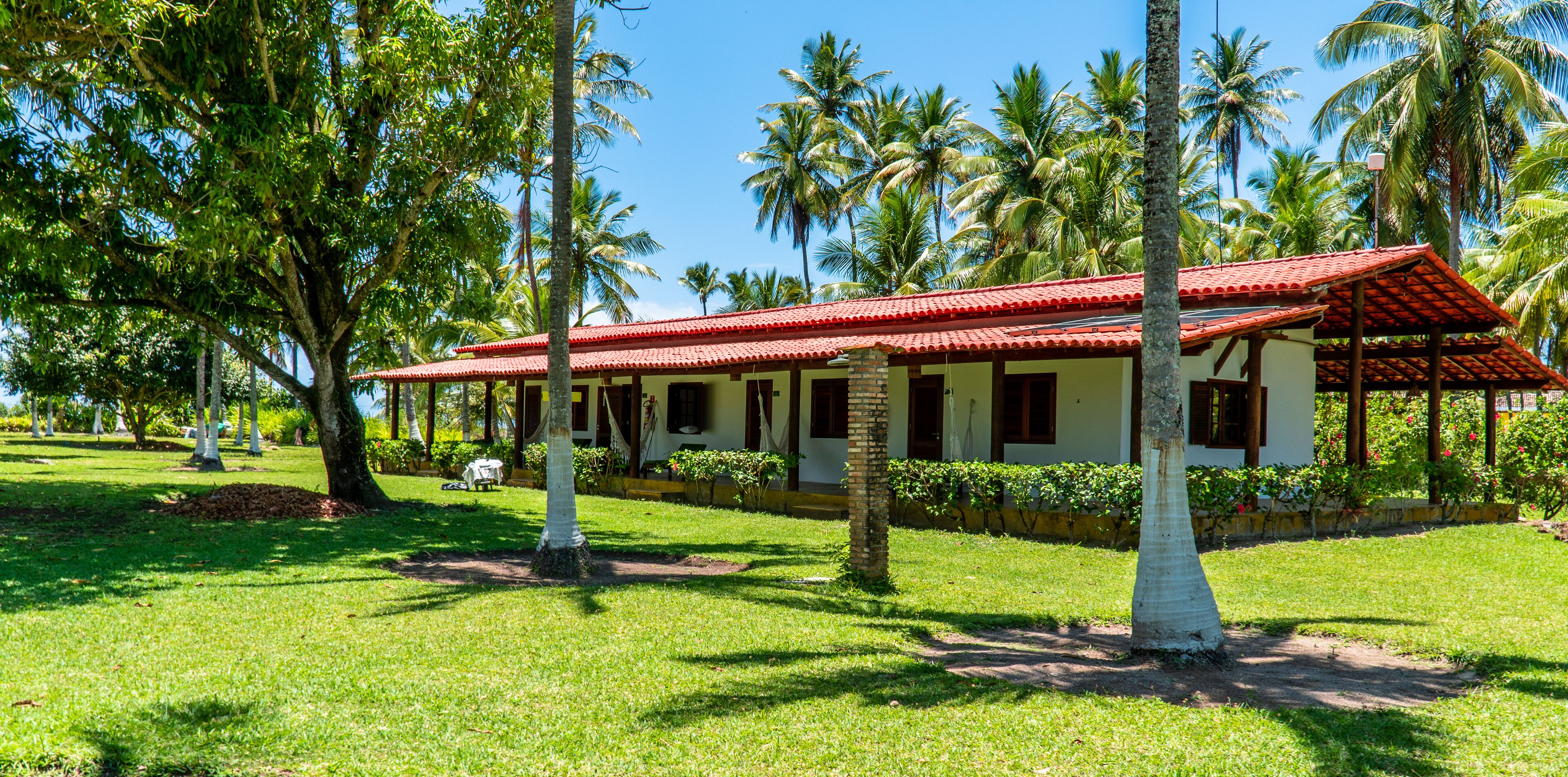 Um edifício com telhado de ladrilho vermelho, rodeado por vegetação exuberante e palmeiras.