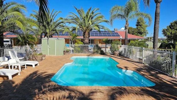 A swimming pool with a brick deck, surrounded by palm trees and a white fence. - Bellview Motel (Narrabri)