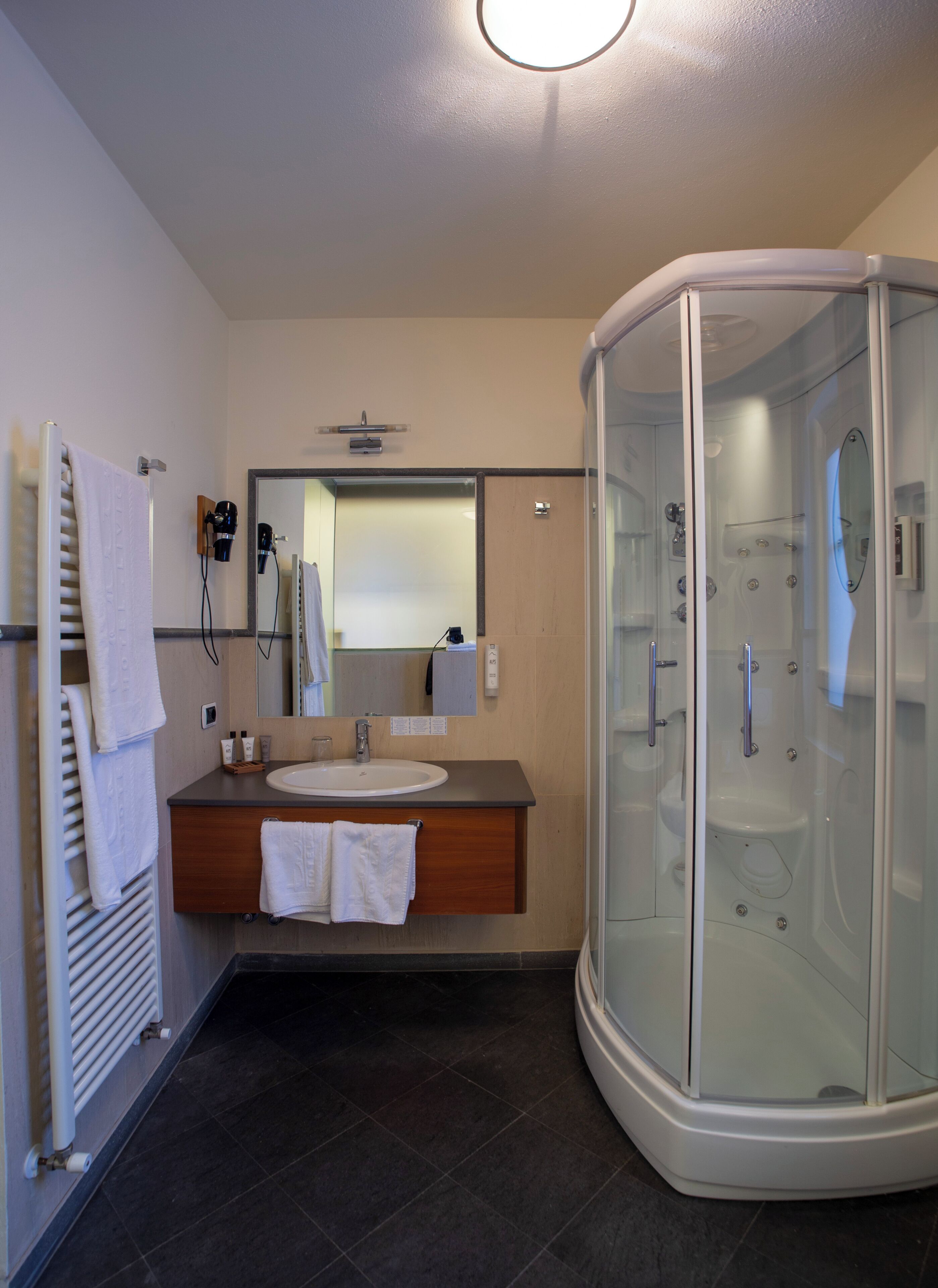 Suite (Shower) | Bathroom | Free toiletries, hair dryer, bathrobes, slippers