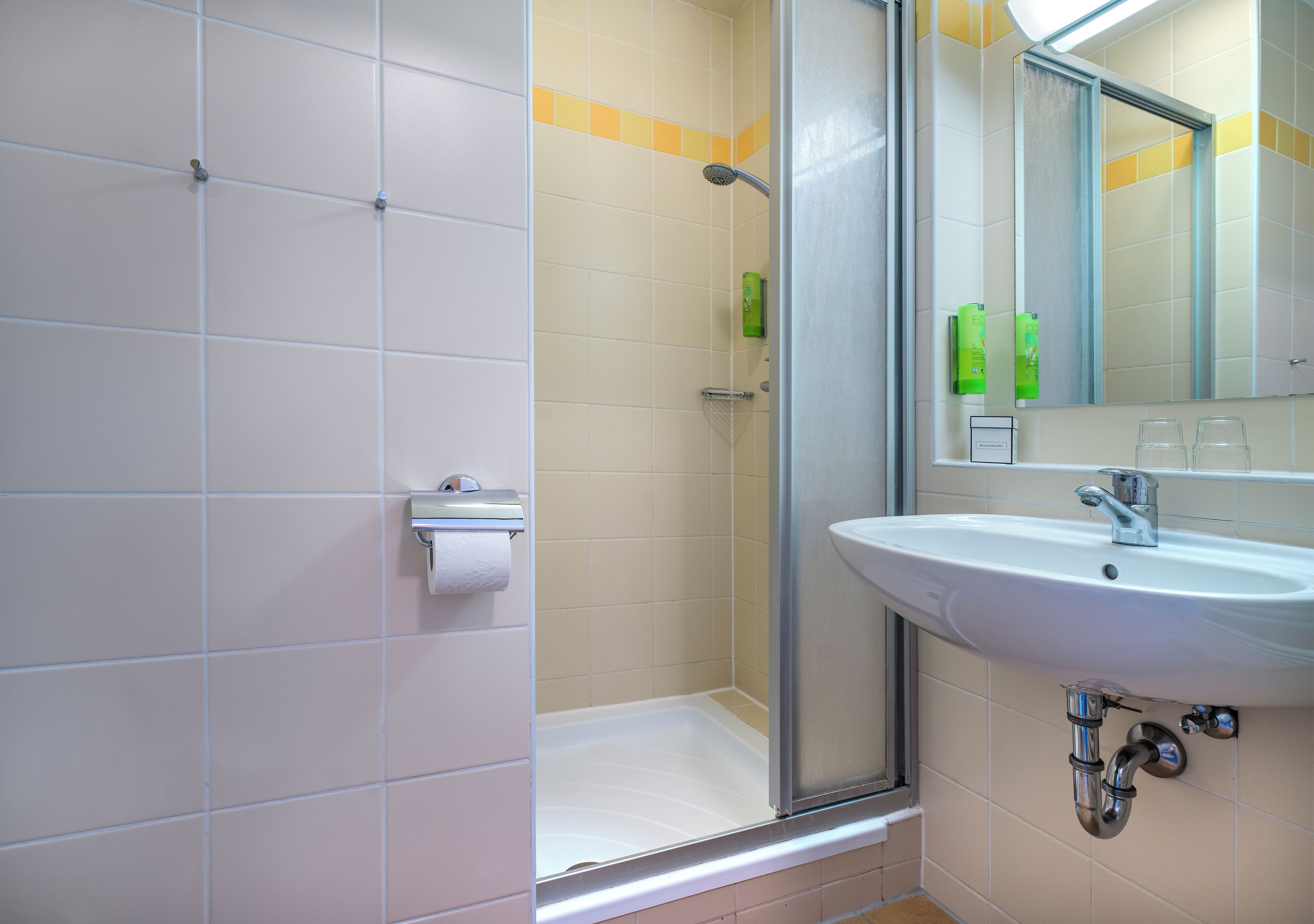 Une salle de bain avec une douche, du papier toilette et un lavabo avec un miroir.