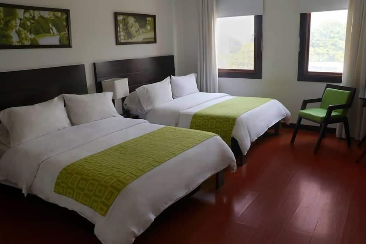 Premium bedding, down comforters, in-room safe, individually decorated