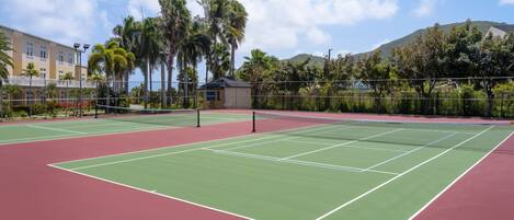 Cancha de tenis con red, rodeada por una cerca y palmeras.