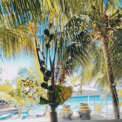 Beachfront Cabana | Balcony view
