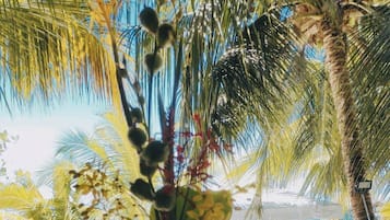 Beachfront Cabana | Blick vom Balkon