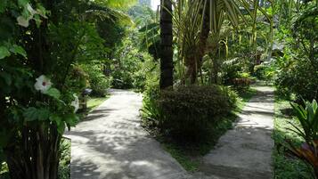 A concrete pathway flanked by lush greenery and flowering plants, leading through a tropical garden setting.