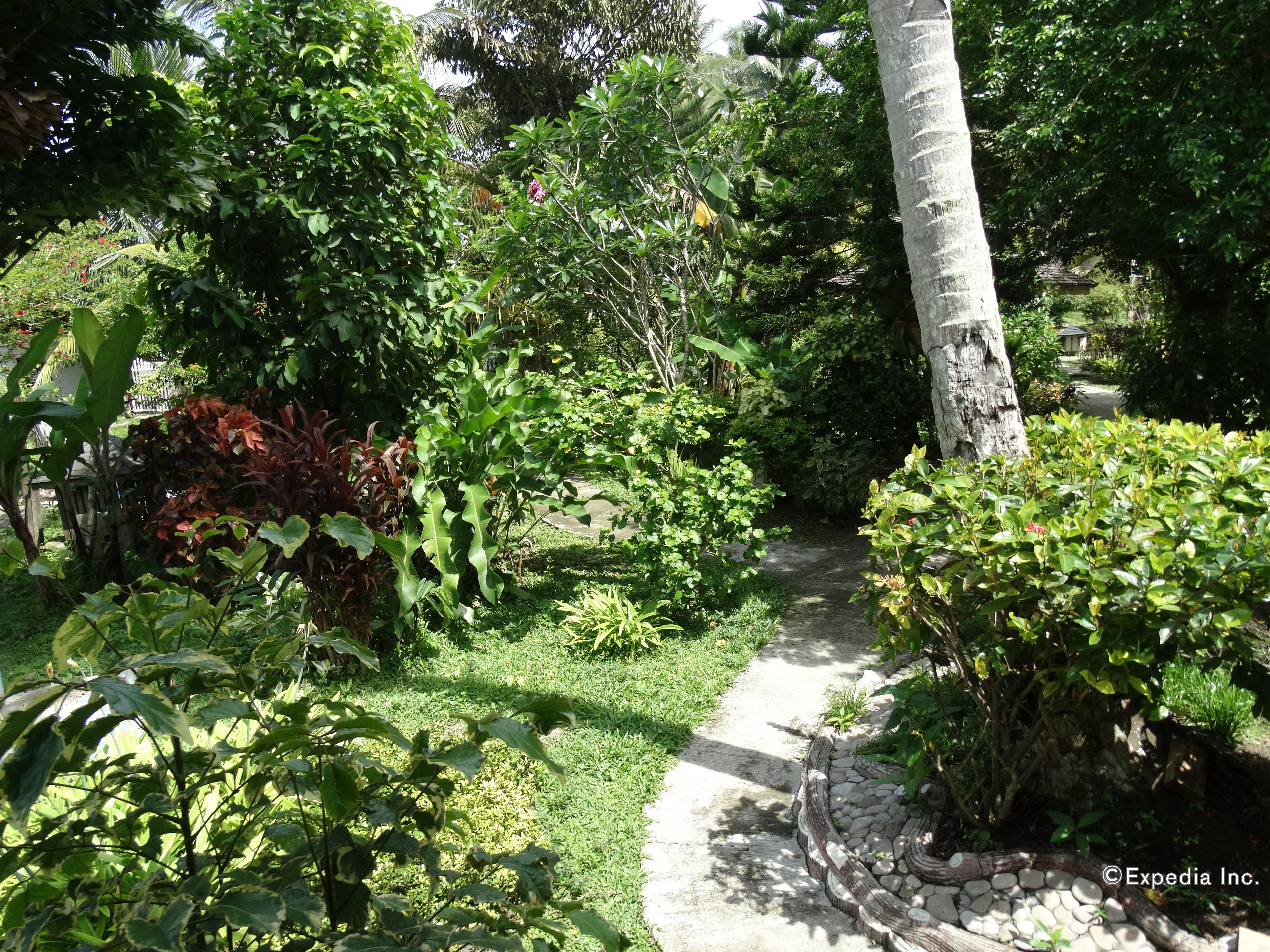 A garden pathway surrounded by lush greenery and a variety of plants.