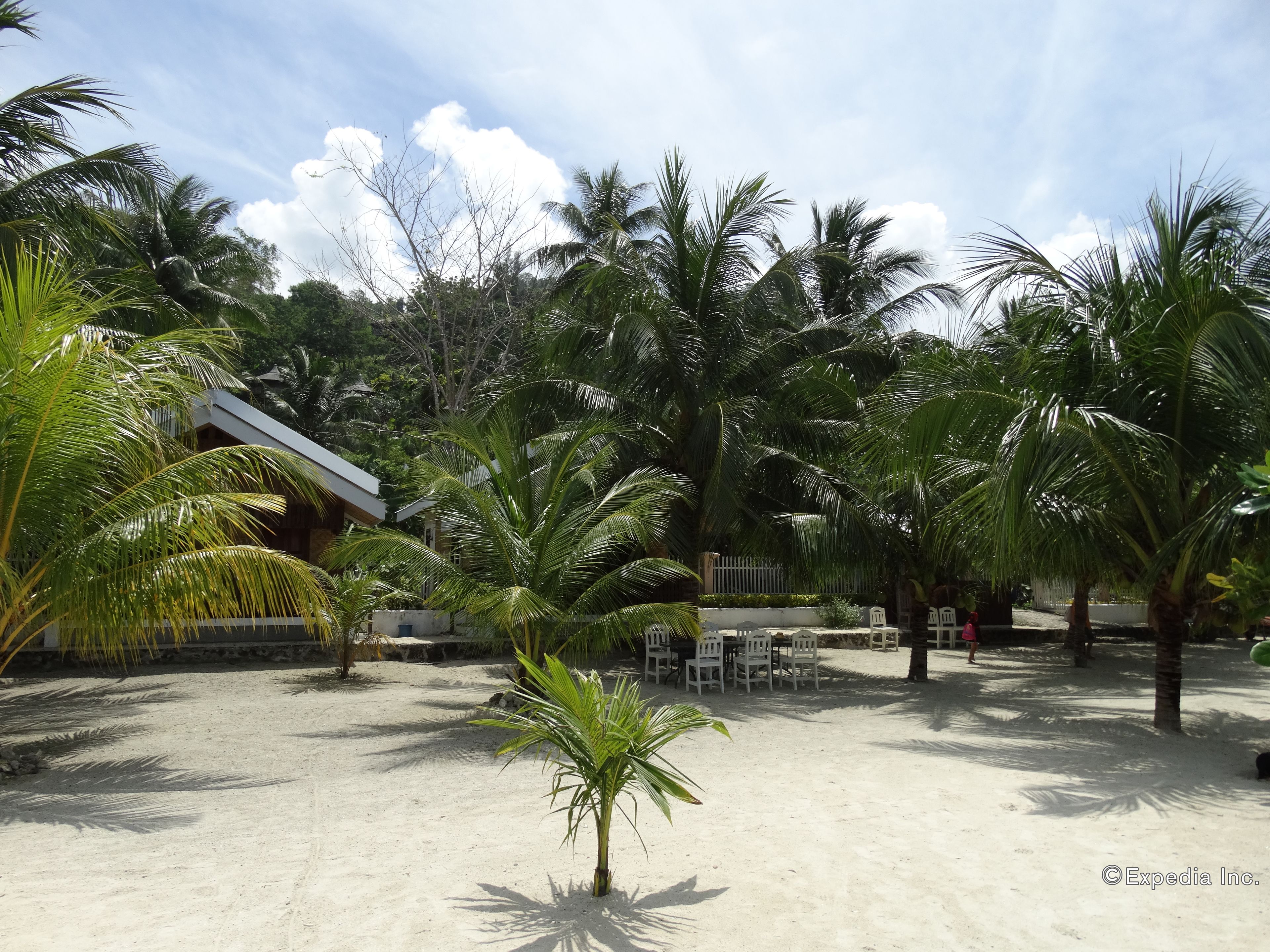 A sandy outdoor area with palm trees, a white building, and outdoor seating.