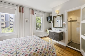 Standard Room, 1 Queen Bed | View from room