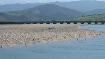 Pantai berhampiran